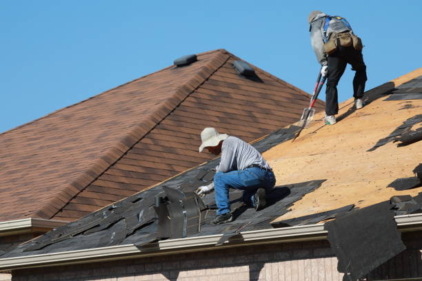 Best Cold Roofs  in Flemington, GA