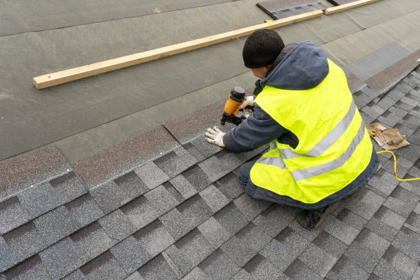 Best Roof Moss and Algae Removal  in Flemington, GA