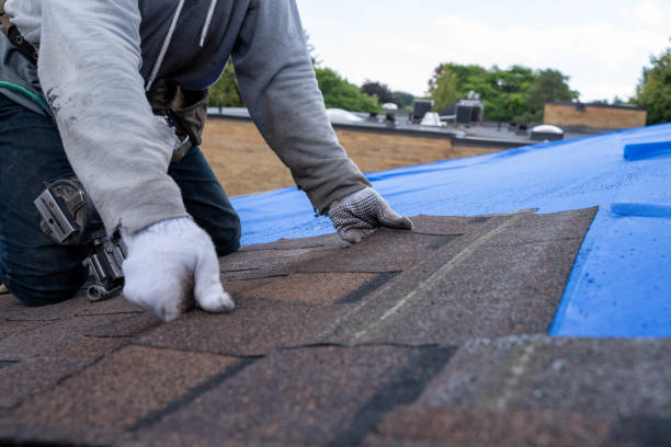 Best Asphalt Shingle Roofing  in Flemington, GA
