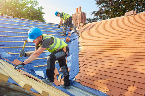 Best Gutter Replacement  in Flemington, GA